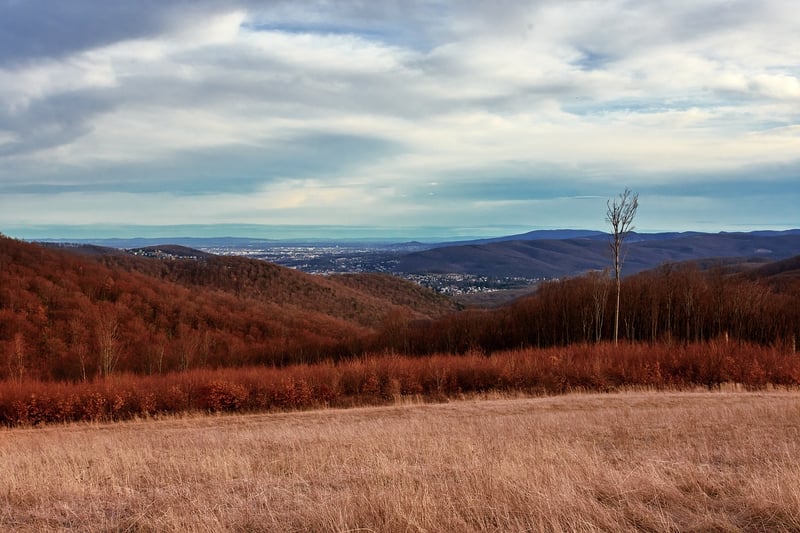 Walking Meditation Trails
